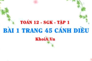 Bài 1 trang 45 Toán 12 tập 1 Cánh Diều